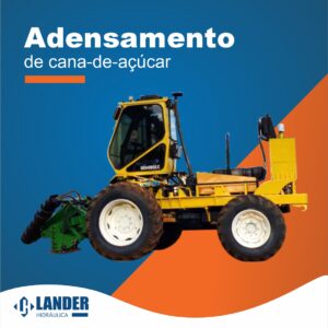 Adensamento de cana de Açucar